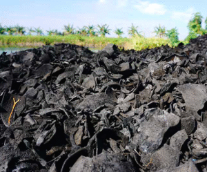 Coconut Charcoal