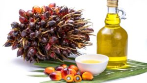 Pure Palm Oil